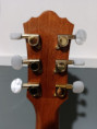 /album/chitarra-acustica-elettrificata-harley-benton-clj-503-ce-wn/whatsapp-image-2026-03-16-at-17-36-16-4-jpeg/